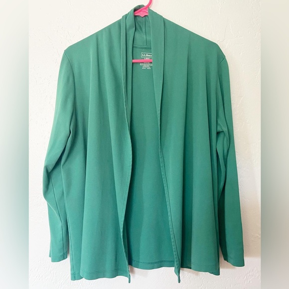L.L. Bean Cardigan in Sea Green - SO soft - size Regular L - small flaw - Picture 1 of 4